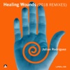 Healing Wounds 2018 Remixes - EP