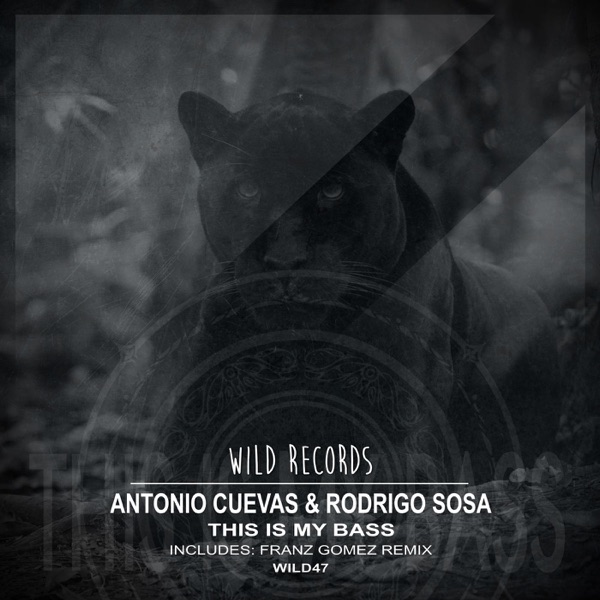 This Is My Bass - Single
