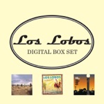 Los Lobos - Chuco's Cumbia