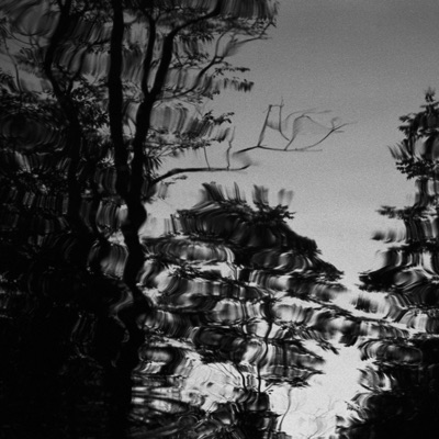 Absorb, Observe, Serve (Transmission from Space Acres) - Single