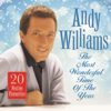 It's the Most Wonderful Time of the Year - Andy Williams