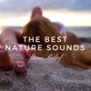 The Best Collection - Inspirational Songs