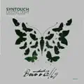 Lasting Light (VoIces Mix)