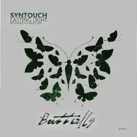 Lasting Light (VoIces Mix)
