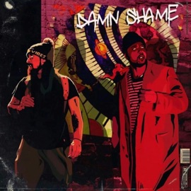 Damn Shame (feat. Kydd Jones) Boots the Blessed