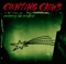 I'm Not Sleeping - Counting Crows lyrics