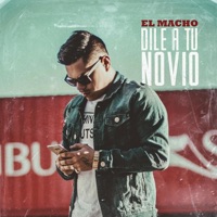 Dile a Tu Novio - Single - El Macho
