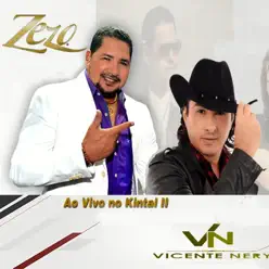 Um Brinde ao Brega, Vol. 1 (Ao Vivo no Kintal II / RN) - Vicente Nery Um Brinde ao Brega, Vol. 1 (Ao Vivo no Kintal II / RN) - Vicente Nery