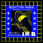 Wicca Phase Springs Eternal - Waiting Here (feat. Lil B)