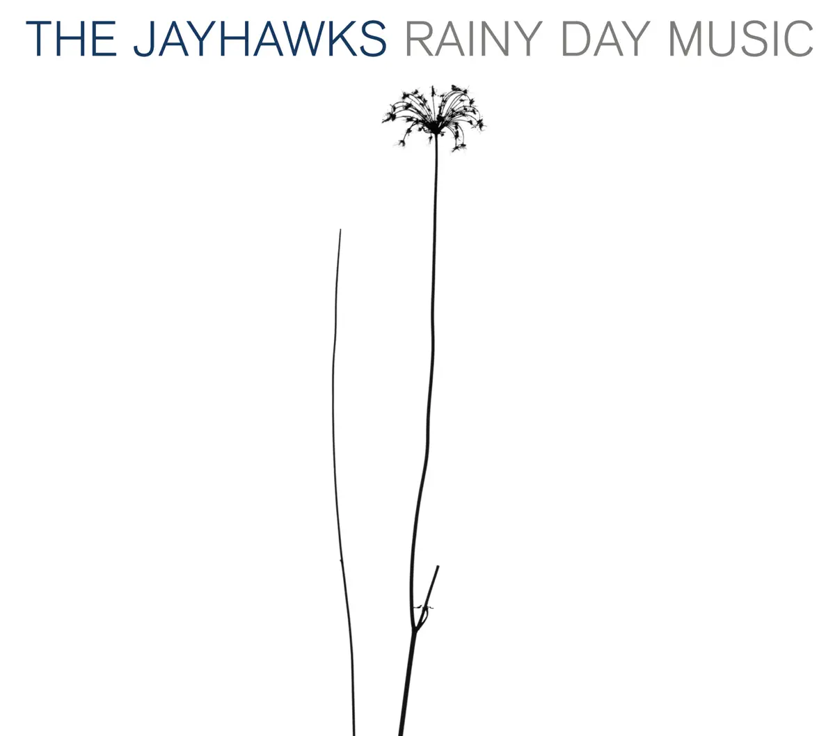 The Jayhawks - Rainy Day Music (2003) [iTunes Plus AAC M4A]-新房子