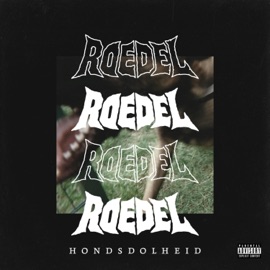 Intro Roedel