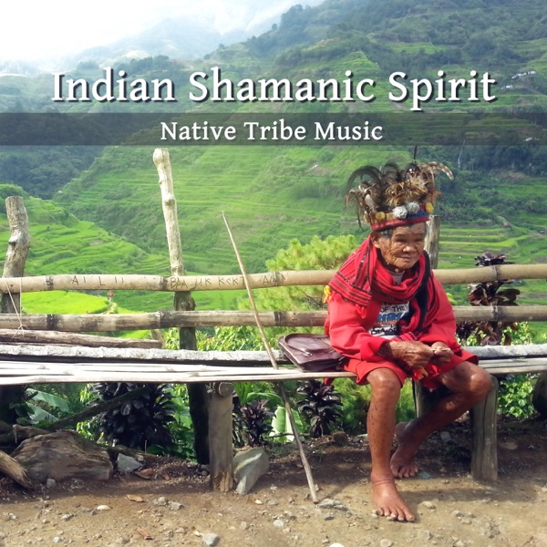 Indian Shamanic Spirit: Native Tribe Music, Drums & Didgeridoo, Sacred Meditation, Indian Flute