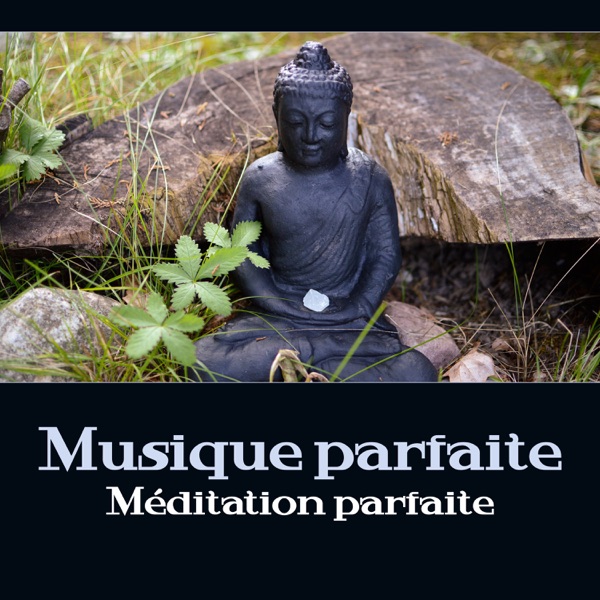 Musique parfaite – Méditation parfaite, routine quotidienne, calmez votre esprit et corps, expérimenter une spiritualité profonde