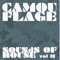 Try for Your Love - Nick Hook lyrics