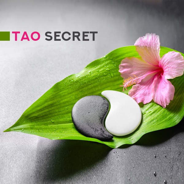 Tao Secret: Oriental Sounds with Tibetan Bowls and Bells