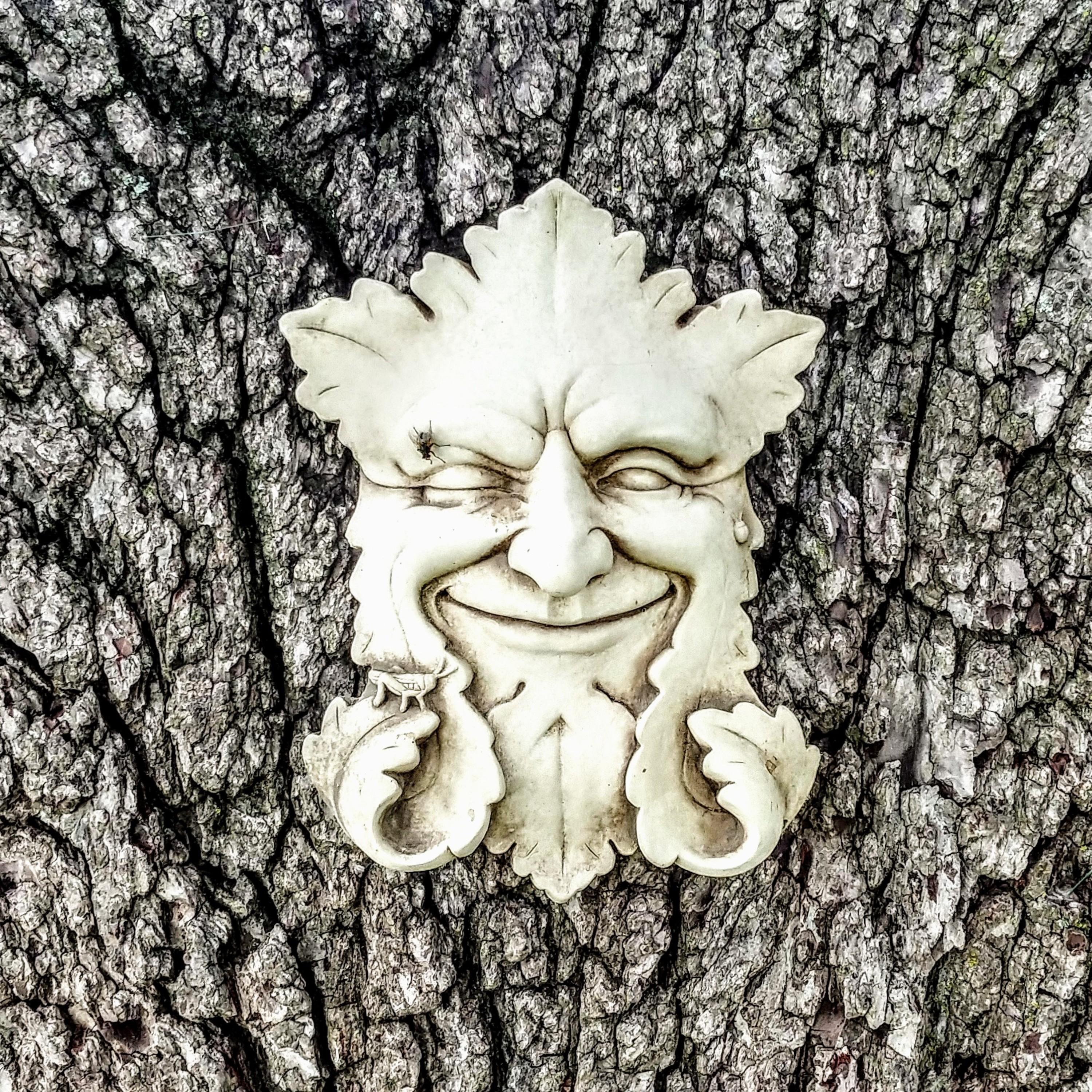 An Ultimate Empire of Confused Unities