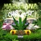 Marijuana (feat. MIST) - Chip lyrics