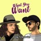 What You Want (feat. Felly) - Inswain lyrics