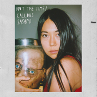 SASAMI - Not the Time artwork