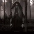 No Cure (for the fools)