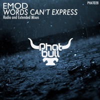 Words Can't Express - Single - E-mod