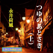 つゆのあとさき(上)-谷崎潤一郎も激賞した昭和初期風俗小説