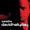 David Hallyday