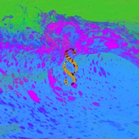 Wav - Single - Joey Vantes