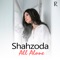 All Alone (with Akcent) - Shahzoda lyrics