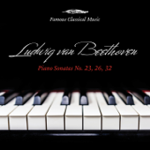 Beethoven: Piano Sonatas Nos. 23, 26 & 32 (Famous Classical Music) - Gerhard Oppitz