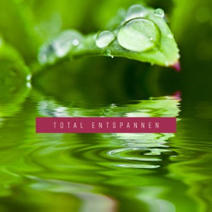 Total Entspannen: Top Musikauswahl für Stressabbau, Tiefenentspannung und Einschlafen, Atementspannung, Natur-Musiktherapie