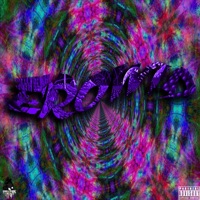 Erowid - Single - 6th$ithLord