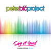 Say It Loud - Peter Bic Project