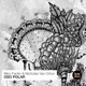 Oso Polar Single
