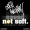 Not Soft (feat. T-Haddy) - Cash Hollistah lyrics