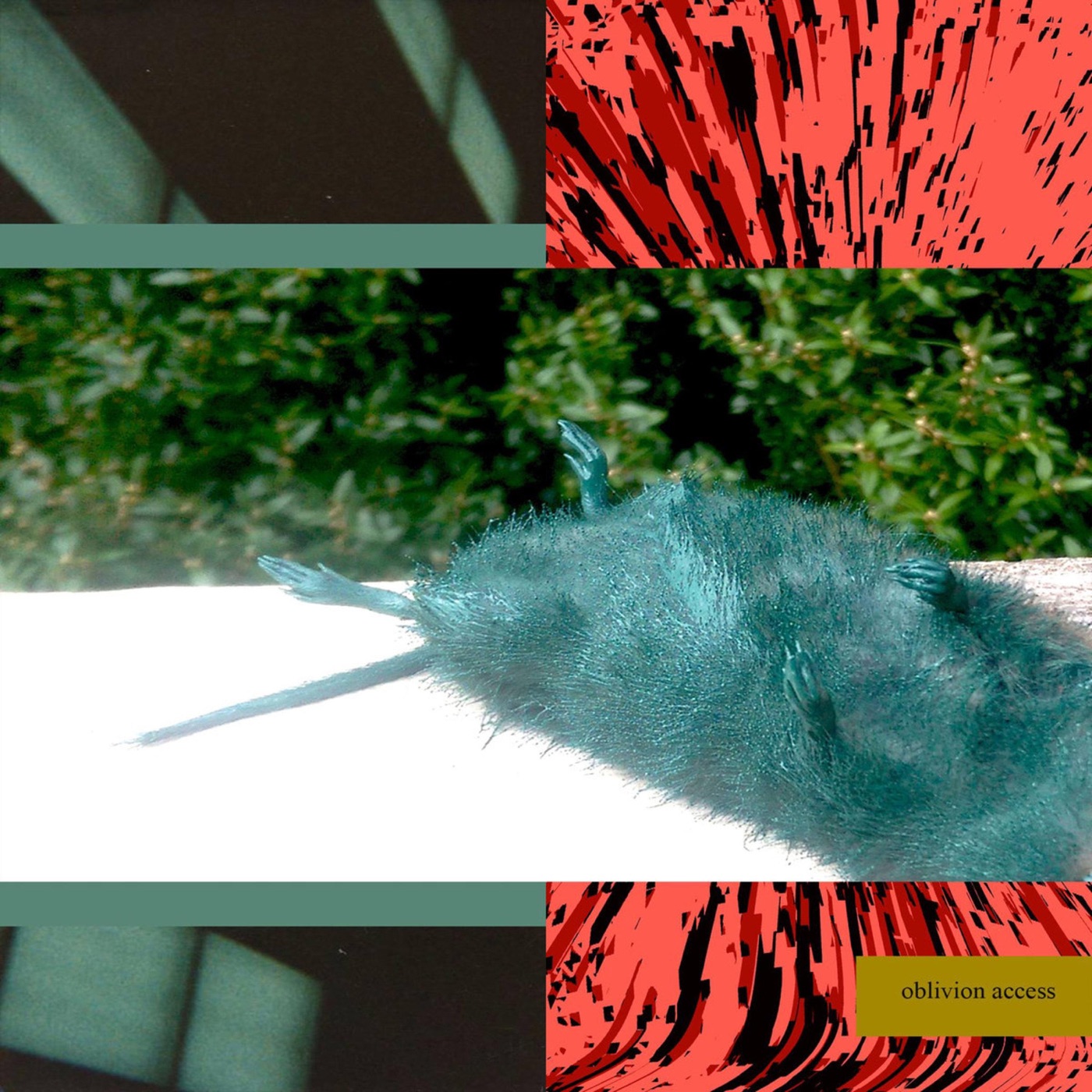 Oblivion Access by Lil Ugly Mane