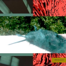 Lil Ugly Mane - Leonard's Lake