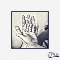 Poveste - Single - Zhao