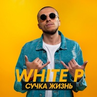 Сучка жизнь - Single - White P