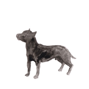 A Dog Called Money / I'll Be Waiting - Single
