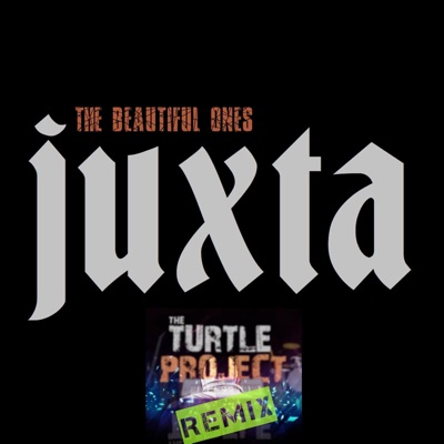 The Beautiful Ones (The Turtle Project Remix) - Single