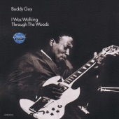 Buddy Guy - Stone Crazy