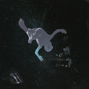 No Coming Down (feat. Alex Wiley & Sky Montique) - Single