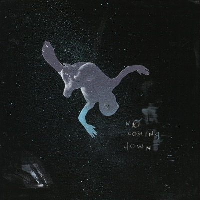No Coming Down (feat. Alex Wiley & Sky Montique) - Single