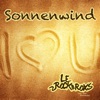 Sonnenwind (feat. Jimi Weissleder) - Single