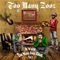 Winter Wonderland - Too Many Zooz lyrics