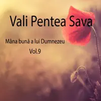 Și de ce să fiu trist — Vali Pentea Sava