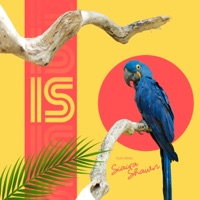 Is (feat. Siaira Shawn) - Single - Charles Holt