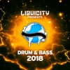 Liquicity Drum & Bass 2018