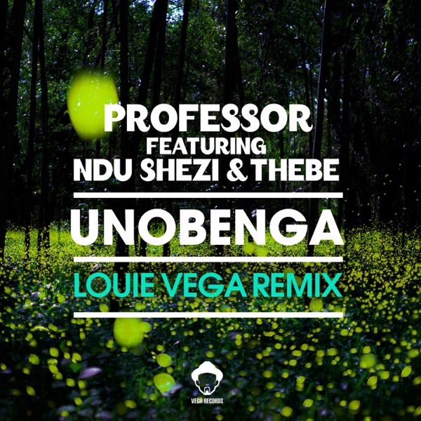 Unobenga (feat. Ndu Shezi & Thebe) - Single
